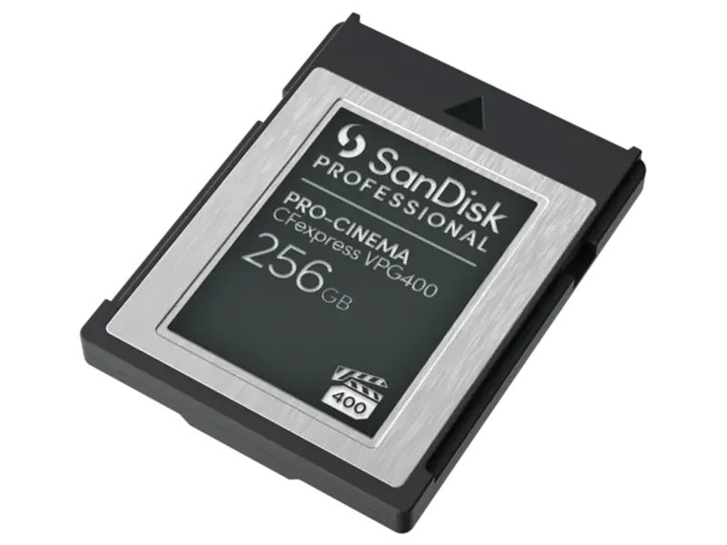 SANDISK PROFESSIONAL 256GB PRO,SDPCVN4-256G-GNANN