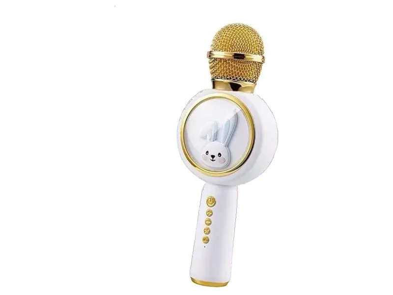 favone 2 in1 Karaoke Bluetooth Speaker Wireless Connection Player with Recording USB FM Microphone