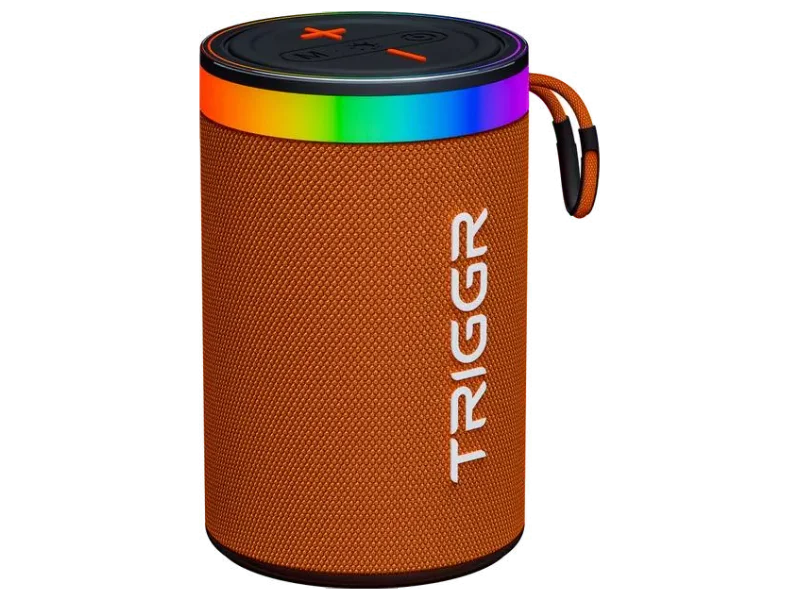 TRIGGR Roar 10 with RGB Lights, Fabric Exterior, TWS & FM Mode, 8H Playtime 10 W Bluetooth Speaker