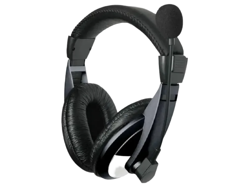 ASTRUM Wired Headset And Mic - HS120_EP46 Wired