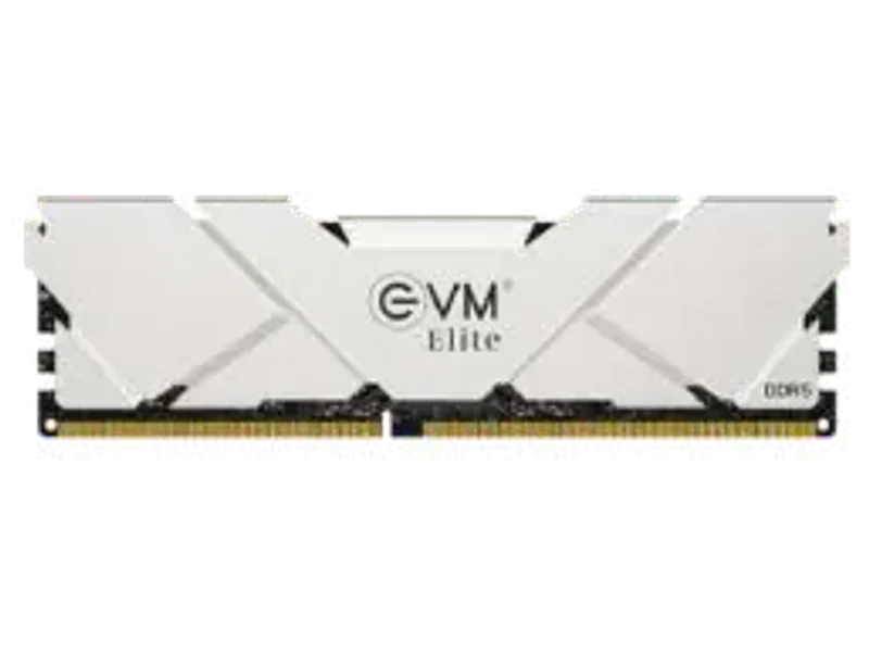 EVM ELITE GAMING RAM 16GB DDR5 5600 MHz Desktop EVME16G56DT