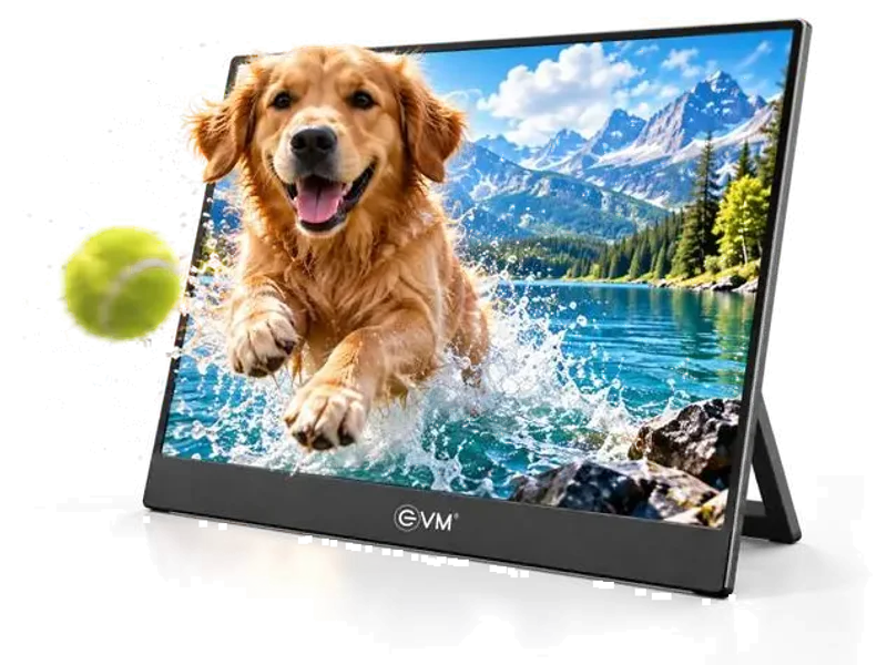 EVM 39.62 cm (16 inch) Full HD LED Backlit IPS Panel Monitor (Grand LED)