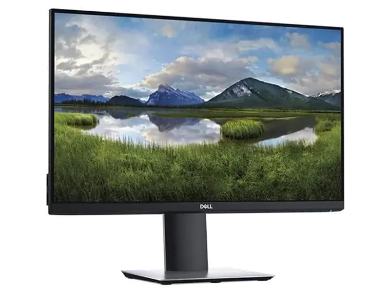 DELL P2419H 24 Inch FHD 60Hz IPS Panel 5MS Professional Monitor