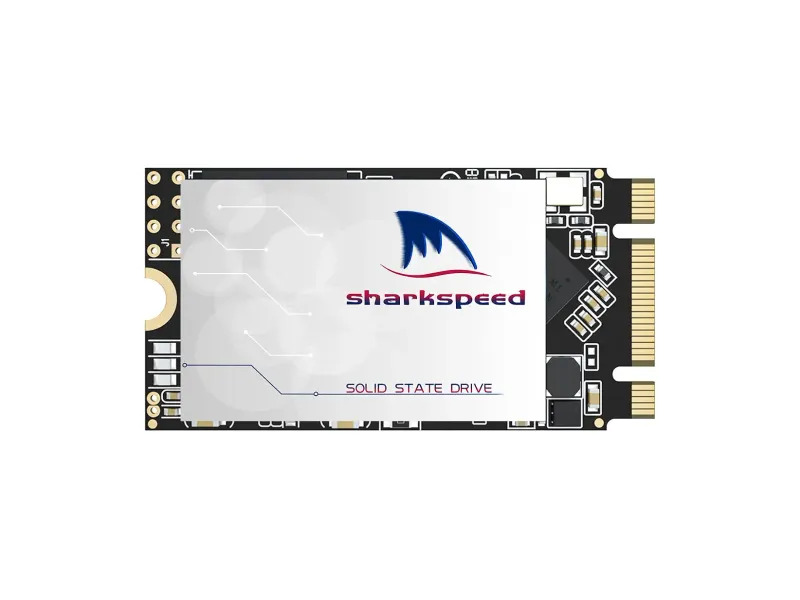 2242 NGFF 256GB M.2 SSD SHARKSPEED Plus Internal M2 SSD 3D NAND SATA III 6 Gb/s,Solid State Drive for Notebooks Desktop PC (M.2 2242 256GB)